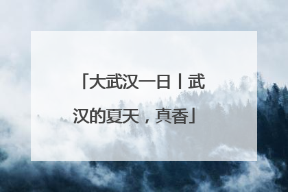 大武汉一日丨武汉的夏天，真香