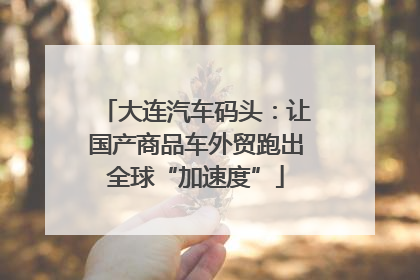 大连汽车码头：让国产商品车外贸跑出全球“加速度”