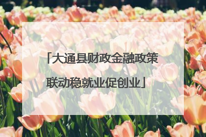 大通县财政金融政策联动稳就业促创业