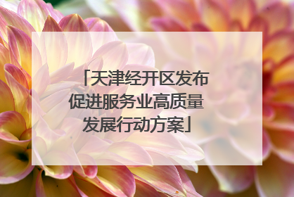 天津经开区发布促进服务业高质量发展行动方案