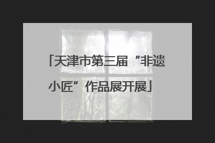 天津市第三届“非遗小匠”作品展开展