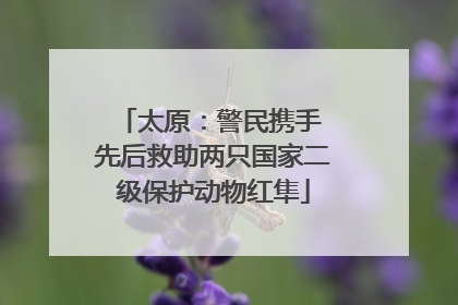 太原：警民携手 先后救助两只国家二级保护动物红隼