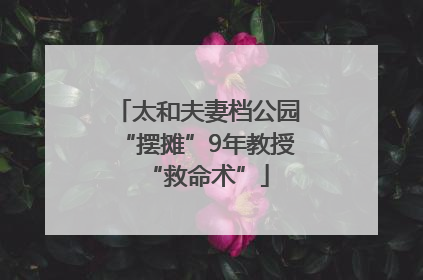 太和夫妻档公园“摆摊”9年教授“救命术”
