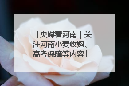 央媒看河南｜关注河南小麦收购、高考保障等内容