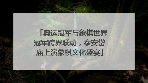 奥运冠军与象棋世界冠军跨界联动，泰安岱庙上演象棋文化盛宴