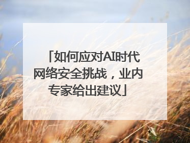 如何应对AI时代网络安全挑战,业内专家给出建议