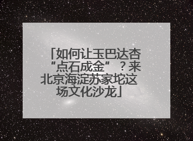 如何让玉巴达杏“点石成金”？来北京海淀苏家坨这场文化沙龙