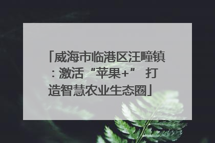 威海市临港区汪疃镇：激活“苹果+” 打造智慧农业生态圈