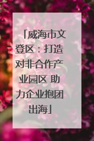 威海市文登区:打造对非合作产业园区 助力企业抱团出海