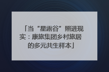 当“星露谷”照进现实：康旅集团乡村旅居的多元共生样本