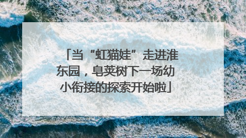 当“虹猫娃”走进淮东园，皂荚树下一场幼小衔接的探索开始啦