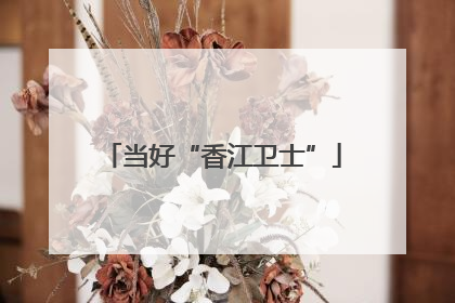当好“香江卫士”