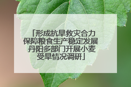 形成抗旱救灾合力 保障粮食生产稳定发展 丹阳多部门开展小麦受旱情况调研