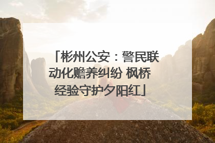 彬州公安：警民联动化赡养纠纷 枫桥经验守护夕阳红
