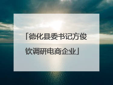 德化县委书记方俊钦调研电商企业