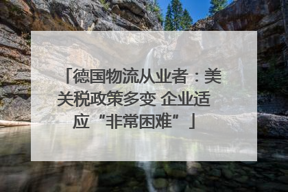 德国物流从业者：美关税政策多变 企业适应“非常困难”