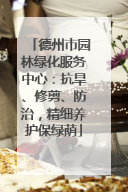 德州市园林绿化服务中心：抗旱、修剪、防治，精细养护保绿荫