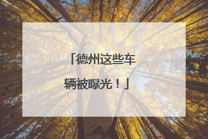 德州这些车辆被曝光！