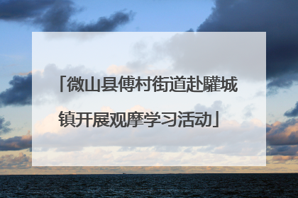 微山县傅村街道赴驩城镇开展观摩学习活动