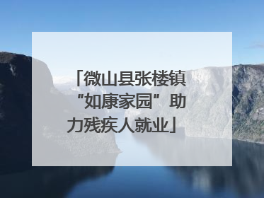 微山县张楼镇“如康家园”助力残疾人就业