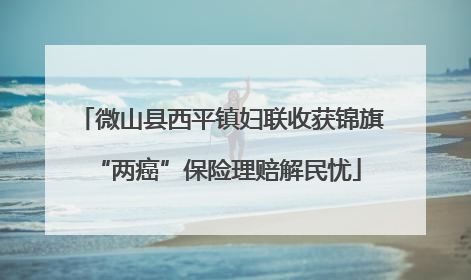 微山县西平镇妇联收获锦旗 “两癌”保险理赔解民忧