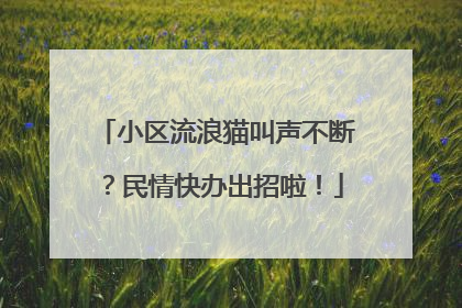 小区流浪猫叫声不断？民情快办出招啦！
