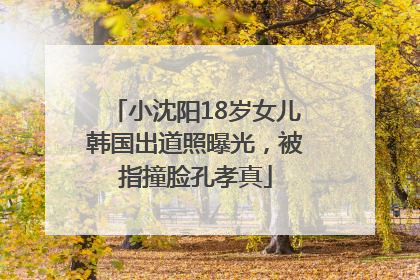 小沈阳18岁女儿韩国出道照曝光，被指撞脸孔孝真
