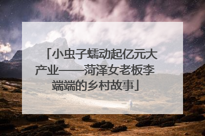 小虫子蠕动起亿元大产业——菏泽女老板李端端的乡村故事