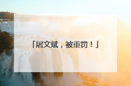 屠文斌，被重罚！