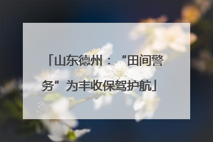 山东德州：“田间警务”为丰收保驾护航