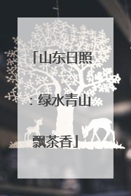 山东日照：绿水青山飘茶香