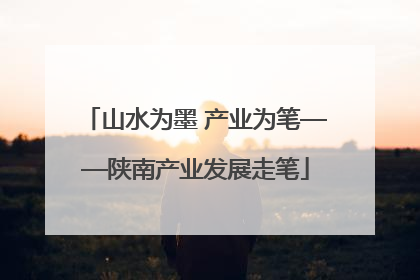 山水为墨 产业为笔——陕南产业发展走笔