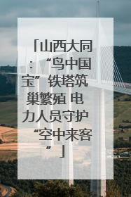山西大同：“鸟中国宝”铁塔筑巢繁殖 电力人员守护“空中来客”
