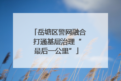 岳塘区警网融合 打通基层治理“最后一公里”