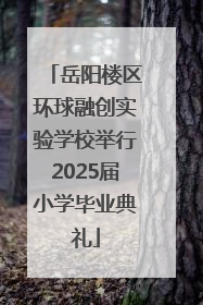 岳阳楼区环球融创实验学校举行2025届小学毕业典礼