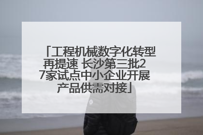 工程机械数字化转型再提速 长沙第三批27家试点中小企业开展产品供需对接