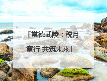 常德武陵：税月童行 共筑未来