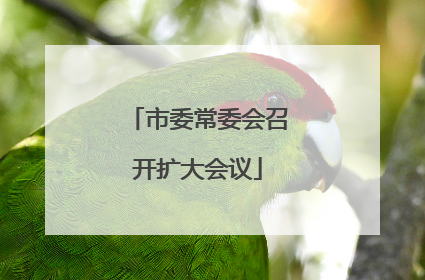市委常委会召开扩大会议