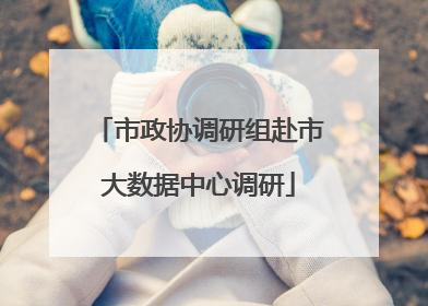 市政协调研组赴市大数据中心调研