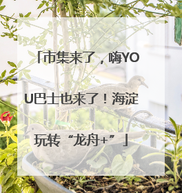 市集来了，嗨YOU巴士也来了！海淀玩转“龙舟+”