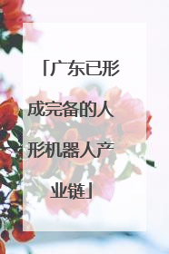 广东已形成完备的人形机器人产业链