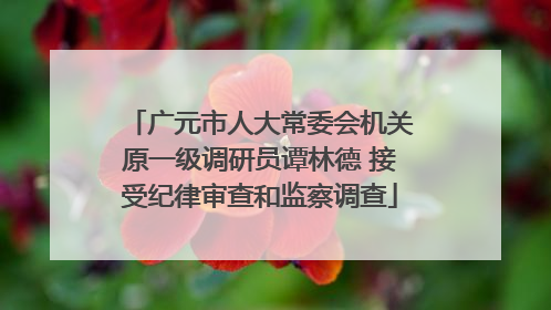 广元市人大常委会机关原一级调研员谭林德 接受纪律审查和监察调查