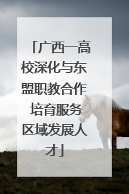 广西一高校深化与东盟职教合作 培育服务区域发展人才