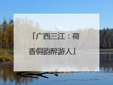 广西三江：荷香侗韵醉游人