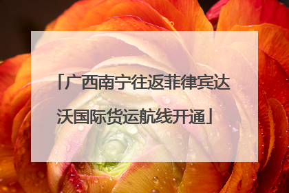 广西南宁往返菲律宾达沃国际货运航线开通