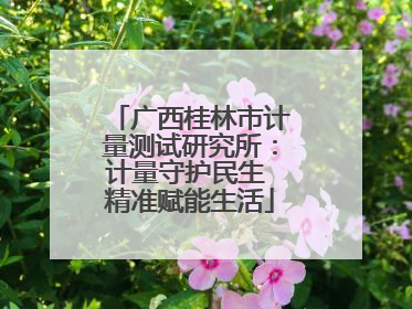 广西桂林市计量测试研究所：计量守护民生 精准赋能生活