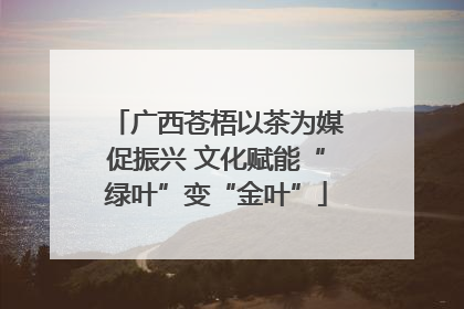 广西苍梧以茶为媒促振兴 文化赋能“绿叶”变“金叶”