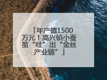 年产值1500万元！高兴镇小蚕茧“吐”出“金丝产业链”