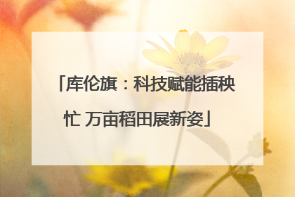 库伦旗：科技赋能插秧忙 万亩稻田展新姿