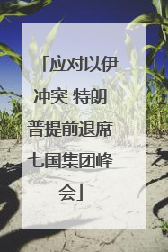 应对以伊冲突 特朗普提前退席七国集团峰会